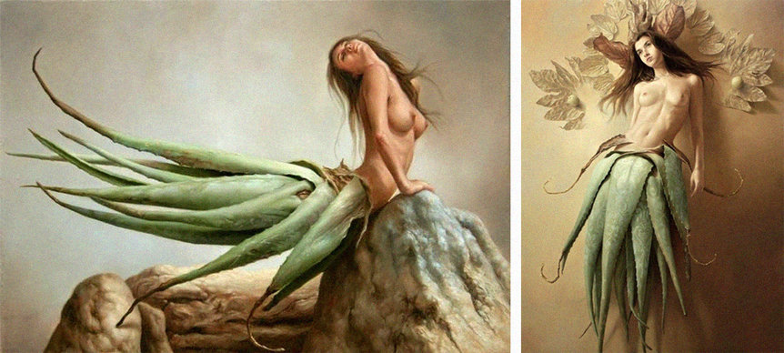 kumari-aloe-nos-tempos