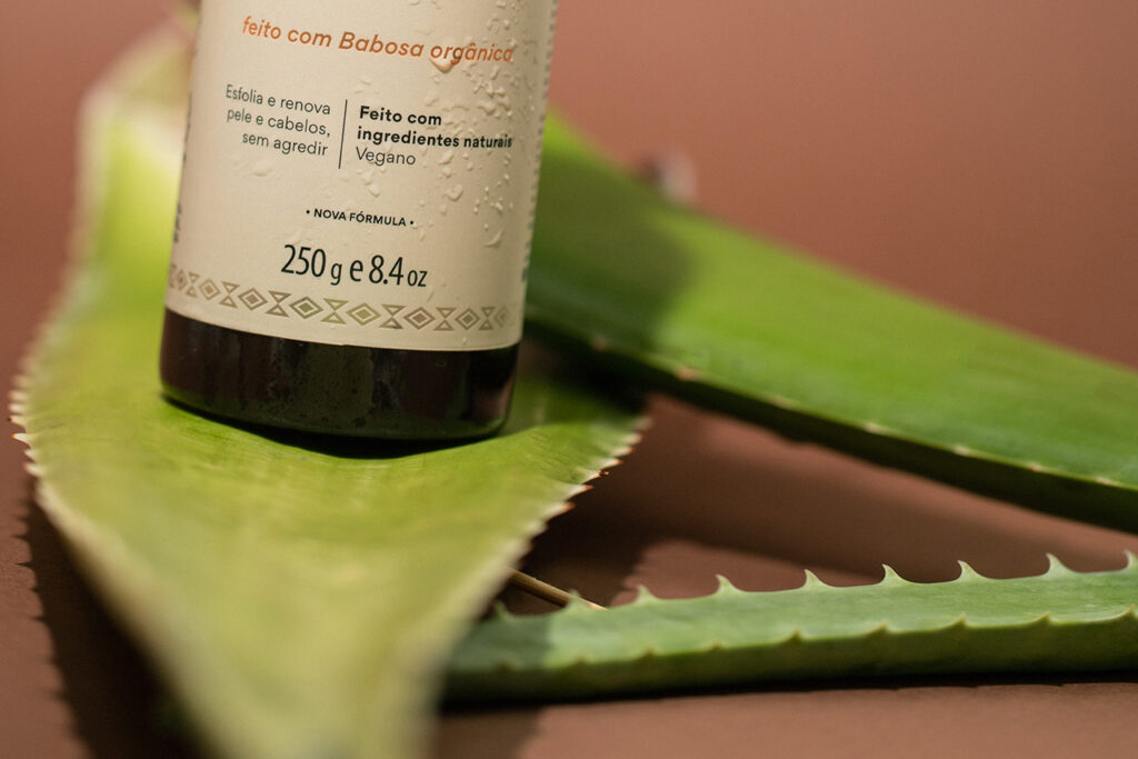 Qual é a diferença entre Babosa e Aloe Vera? - AhoAloe