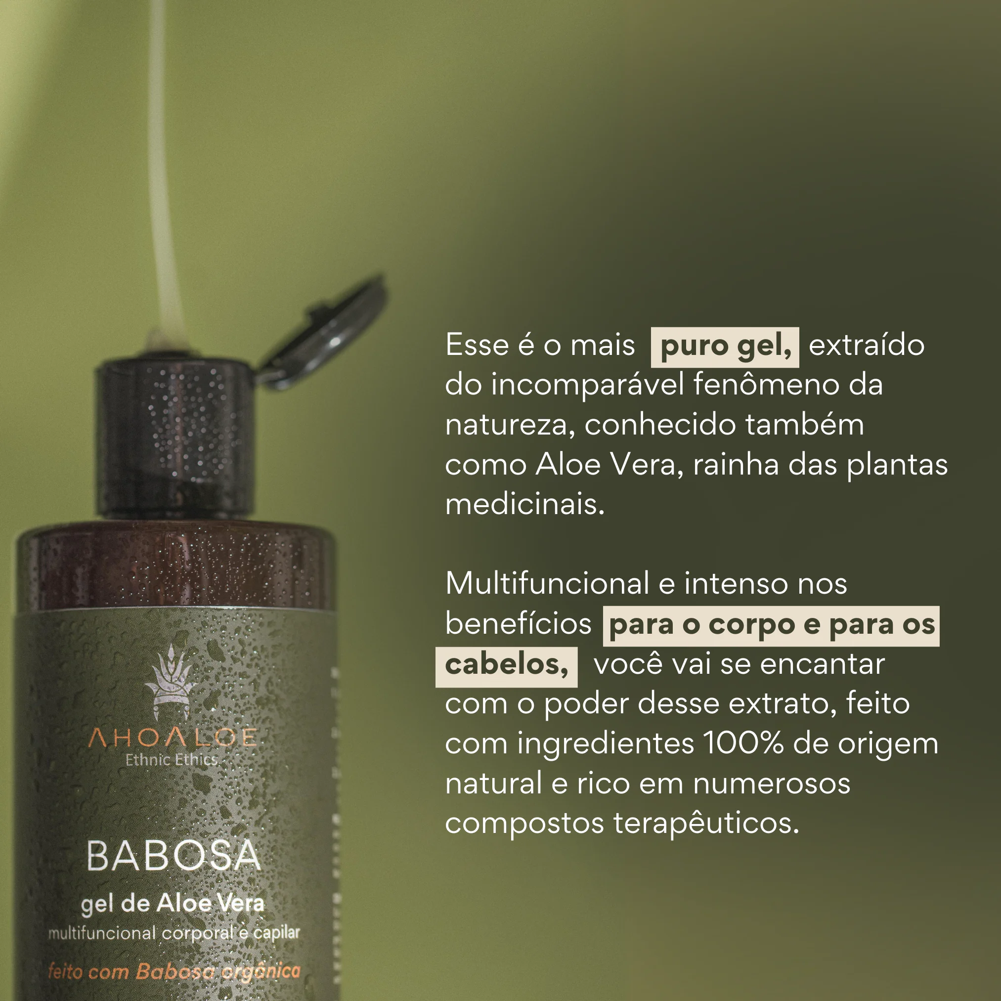 2 Gel de Aloe Vera Multifuncional BABOSA 250ml - Imagem 2