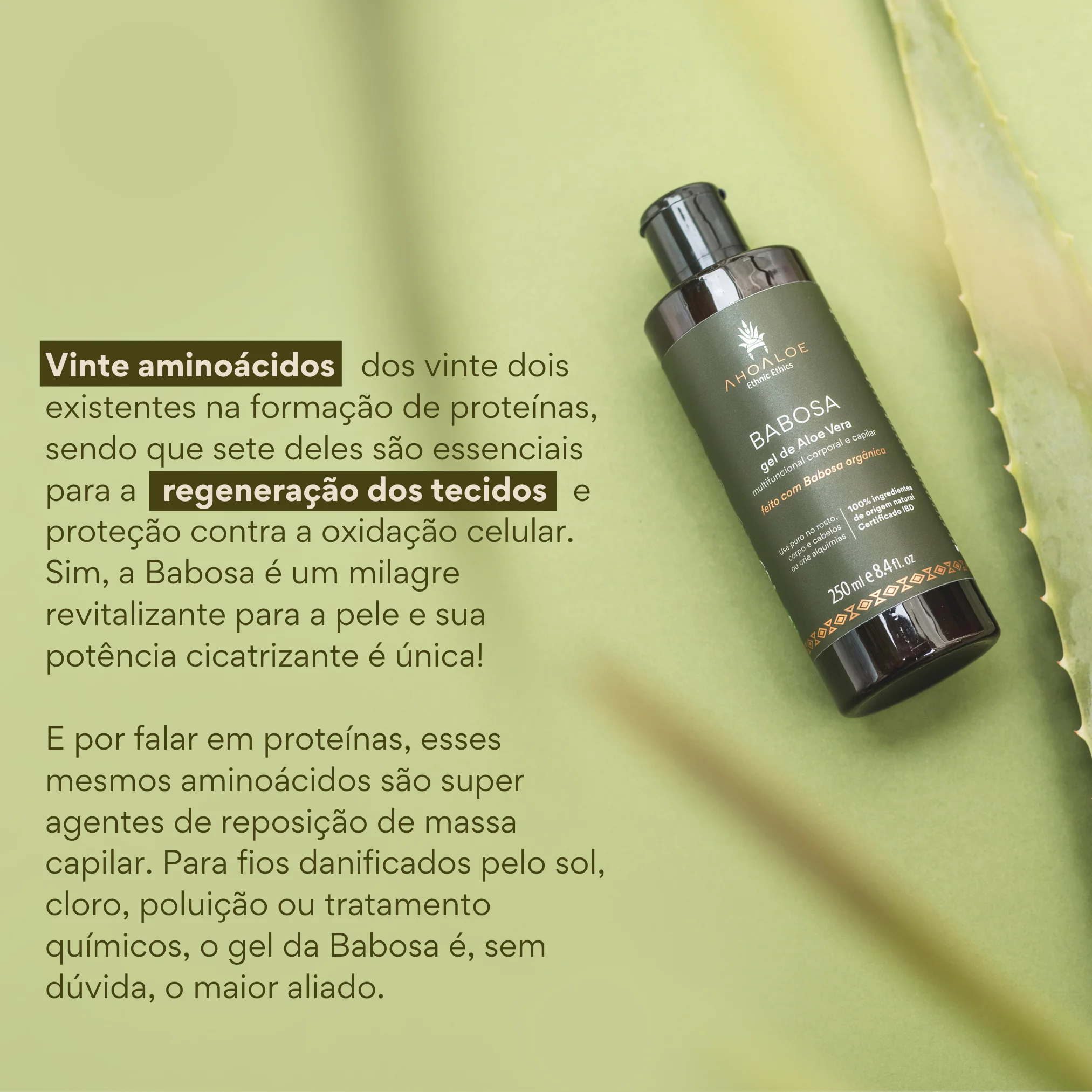 3 Gel de Aloe Vera Multifuncional BABOSA 250ml - Imagem 3
