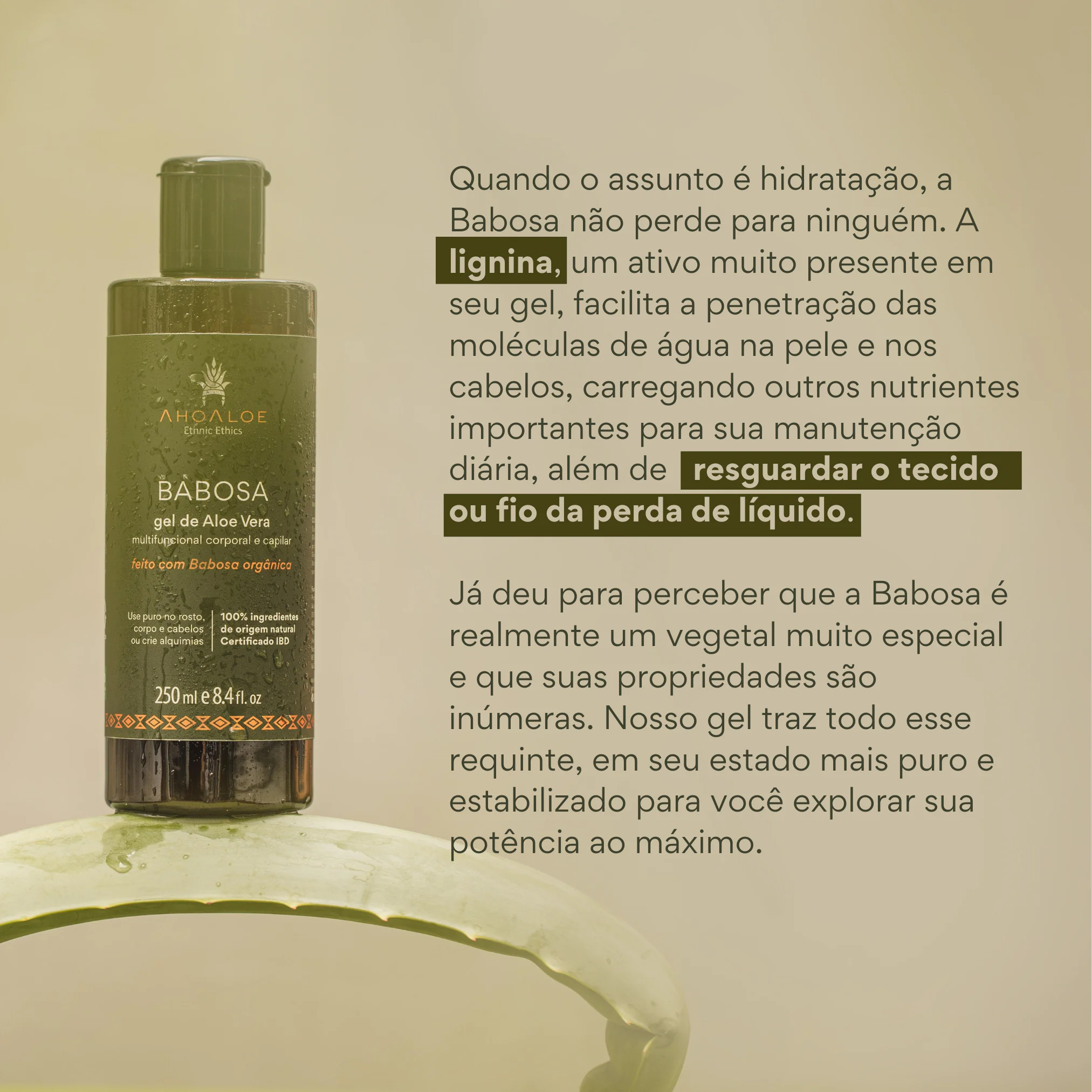 4 Gel de Aloe Vera Multifuncional BABOSA 250ml - Imagem 4