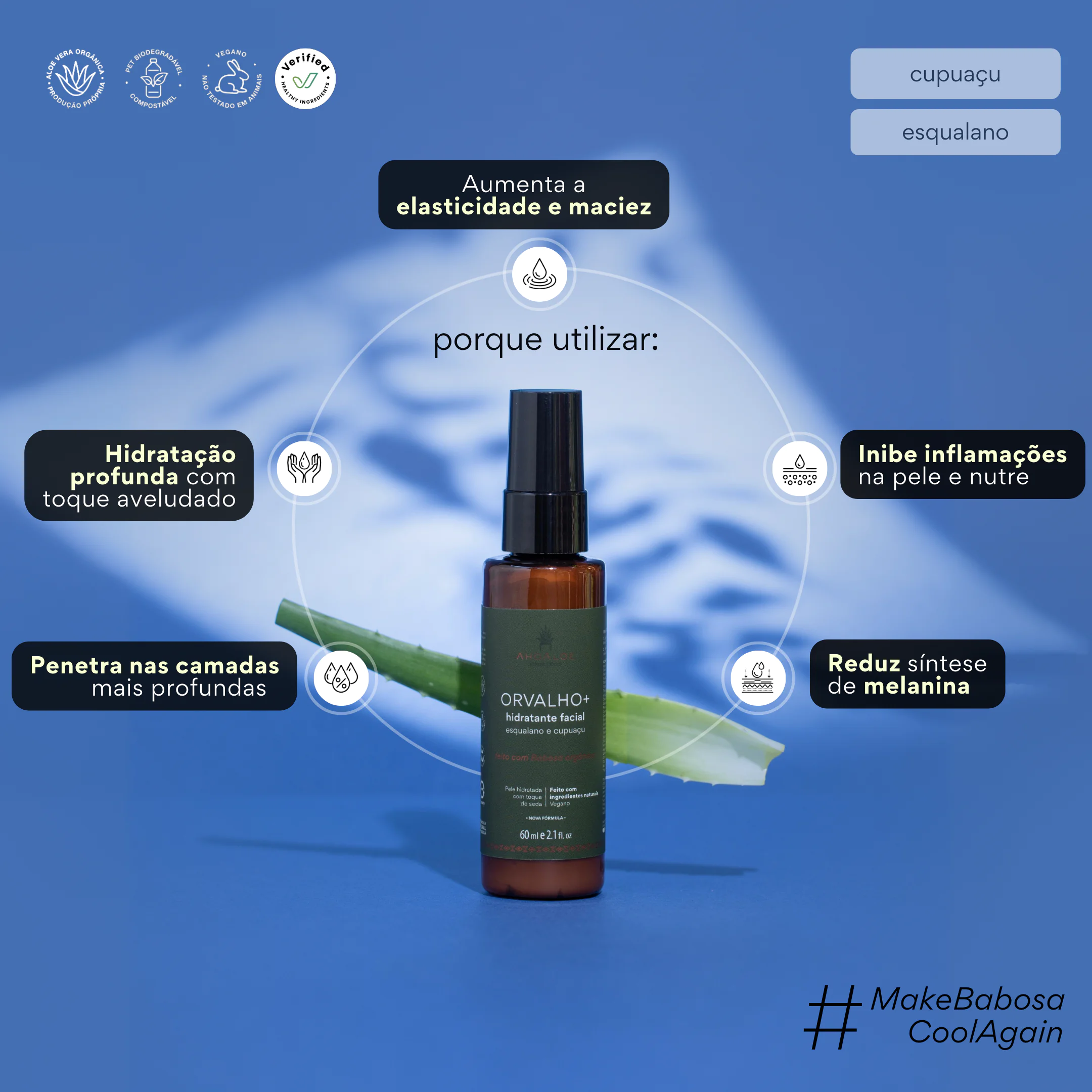 TRIO RENOVAÇÃO CELULAR - Imagem 6