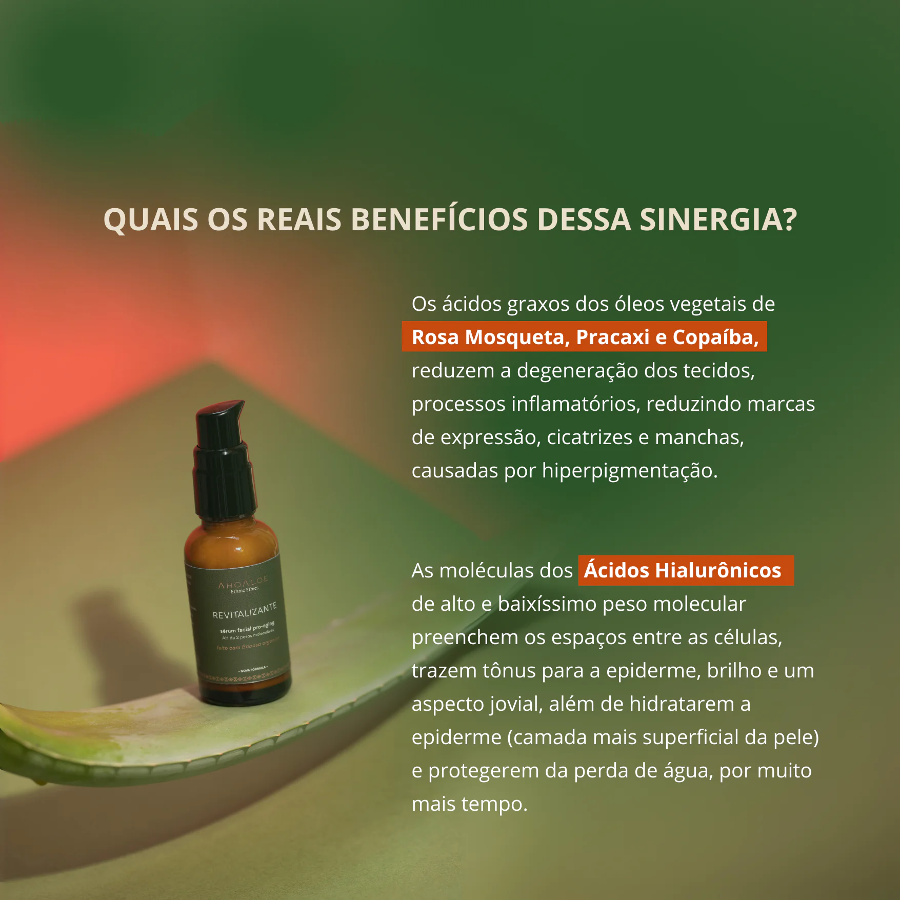 Sérum Facial Pro-aging com Aloe Vera REVITALIZANTE - 30ml - Ácido Hialurônico - Imagem 3