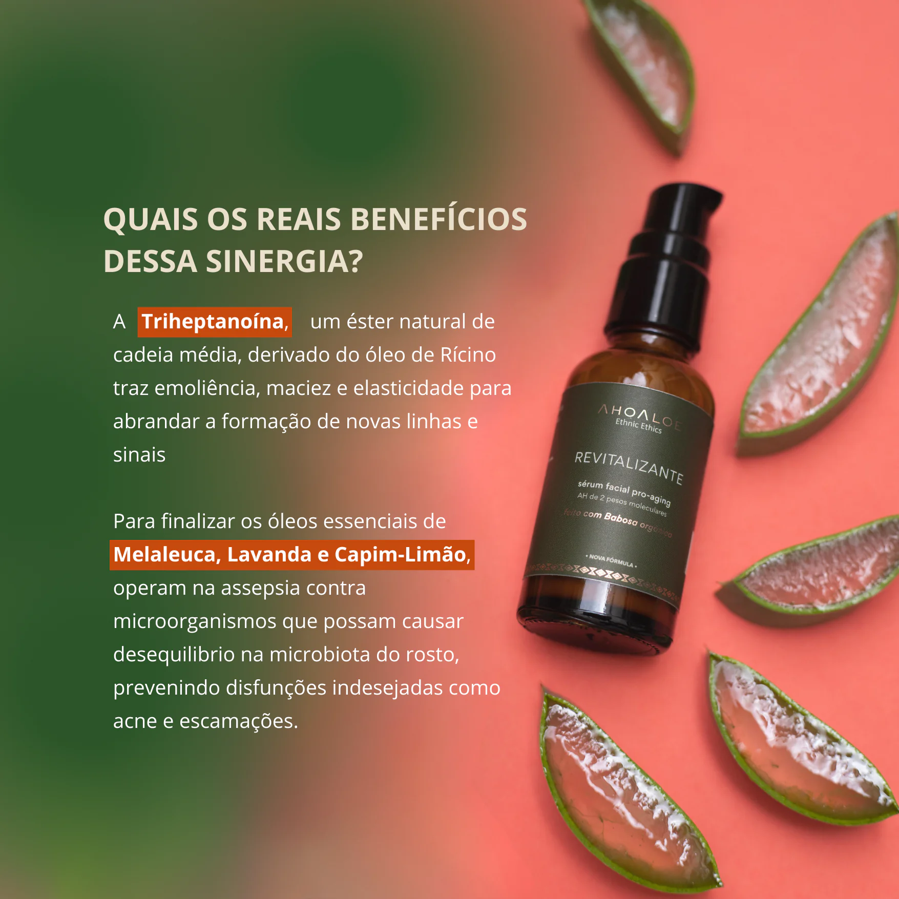 Sérum Facial Pro-aging com Aloe Vera REVITALIZANTE - 30ml - Ácido Hialurônico - Imagem 4