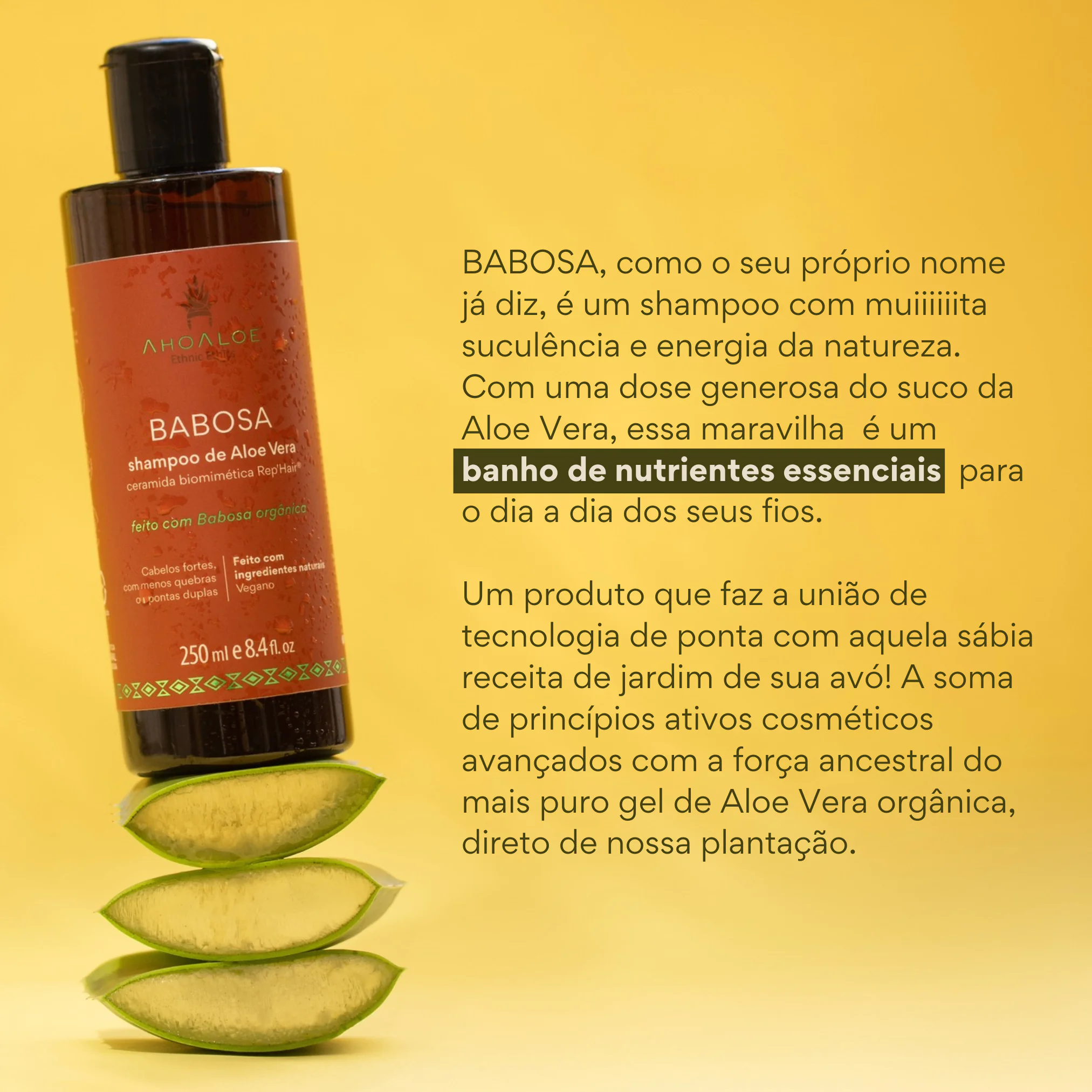 2 Shampoo de Aloe Vera BABOSA - Ceramida Biomimética - 250ml - Imagem 2