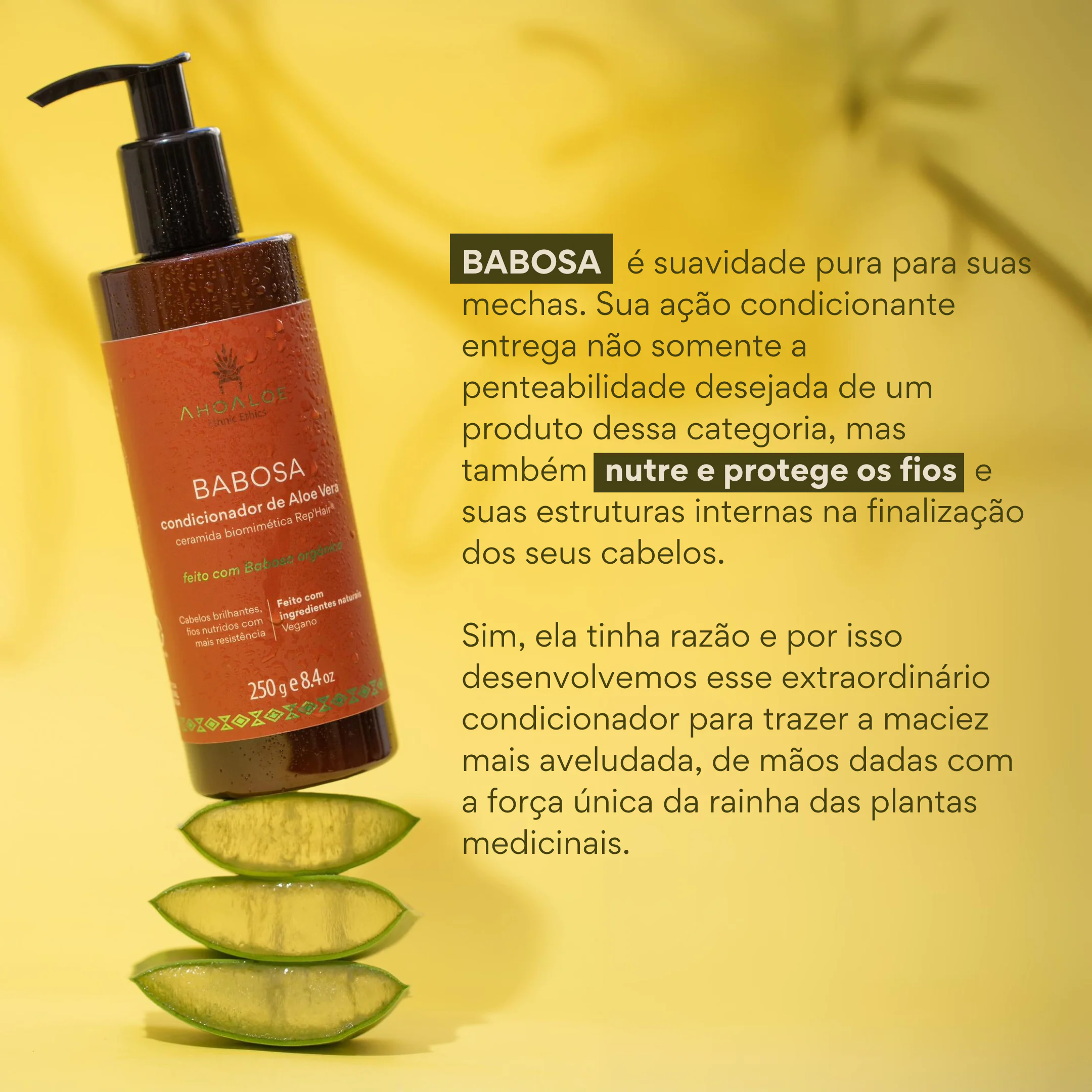 Condicionador de Aloe Vera BABOSA - Ceramida Biomimética - 250ml - Imagem 2