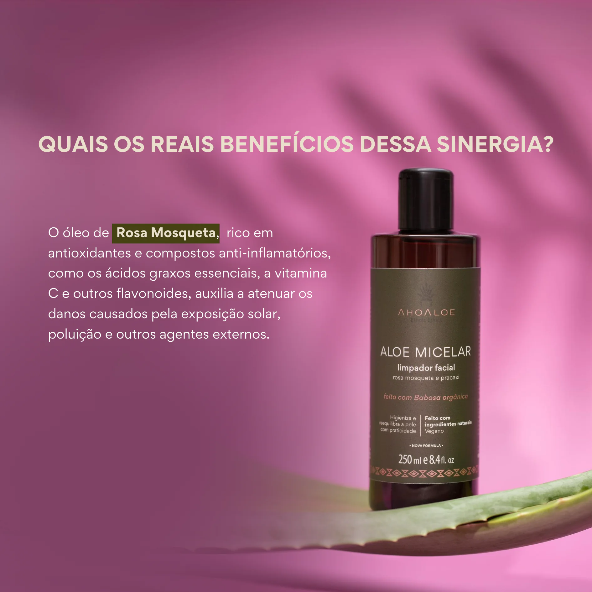 Limpador Facial de Aloe Vera Água Micelar - 250ml - Rosa Mosqueta e Pracaxi - Imagem 3