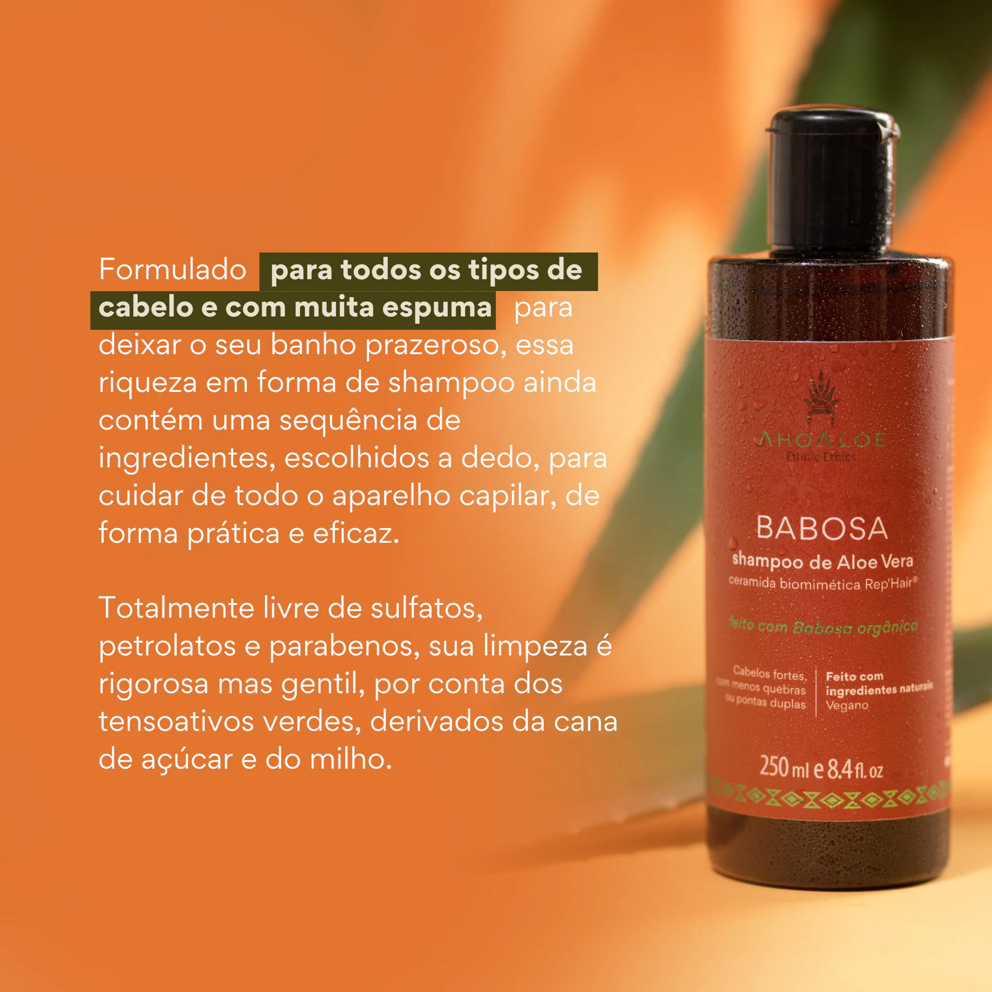 3 Shampoo de Aloe Vera BABOSA - Ceramida Biomimética - 250ml - Imagem 4