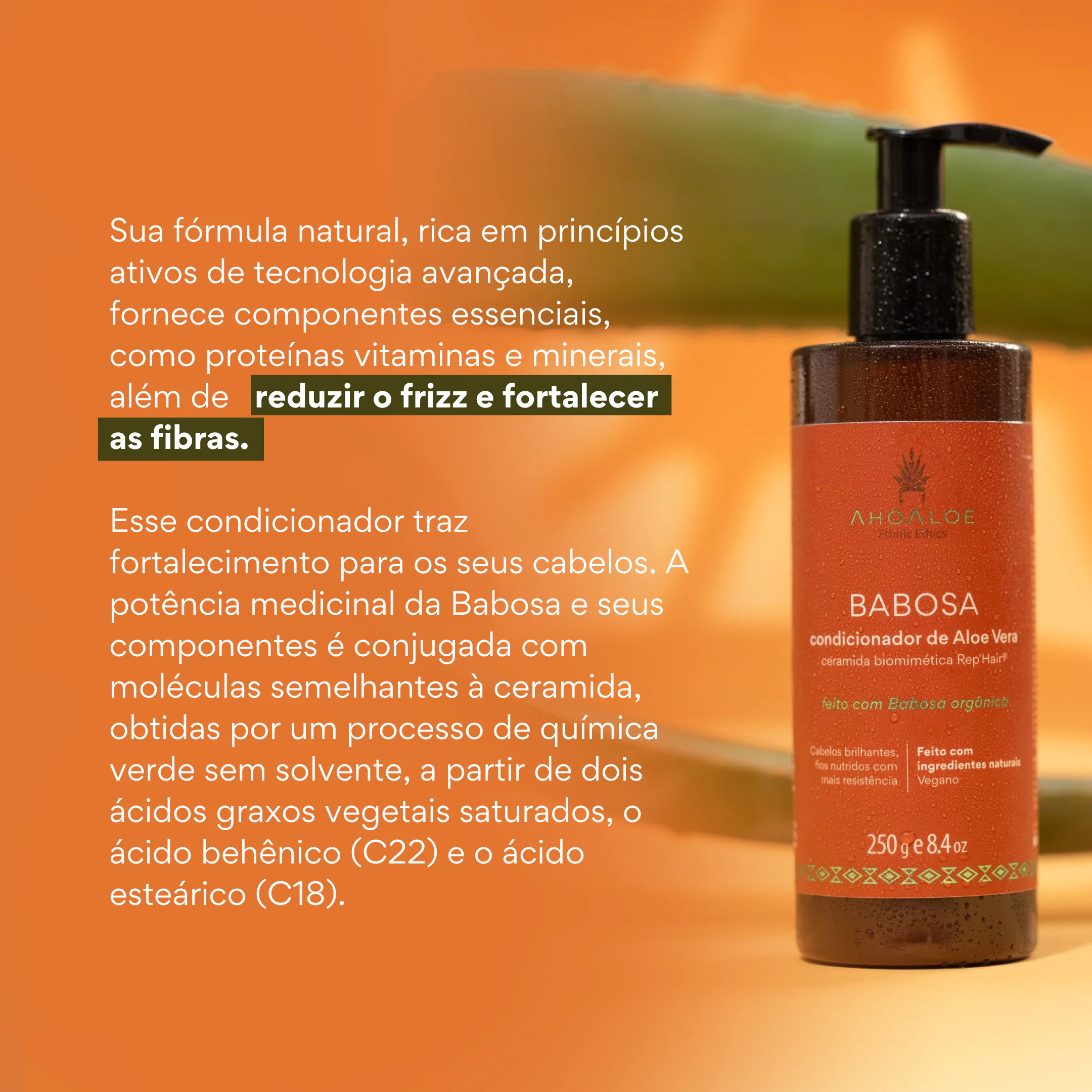 Condicionador de Aloe Vera BABOSA - Ceramida Biomimética - 250ml - Imagem 4