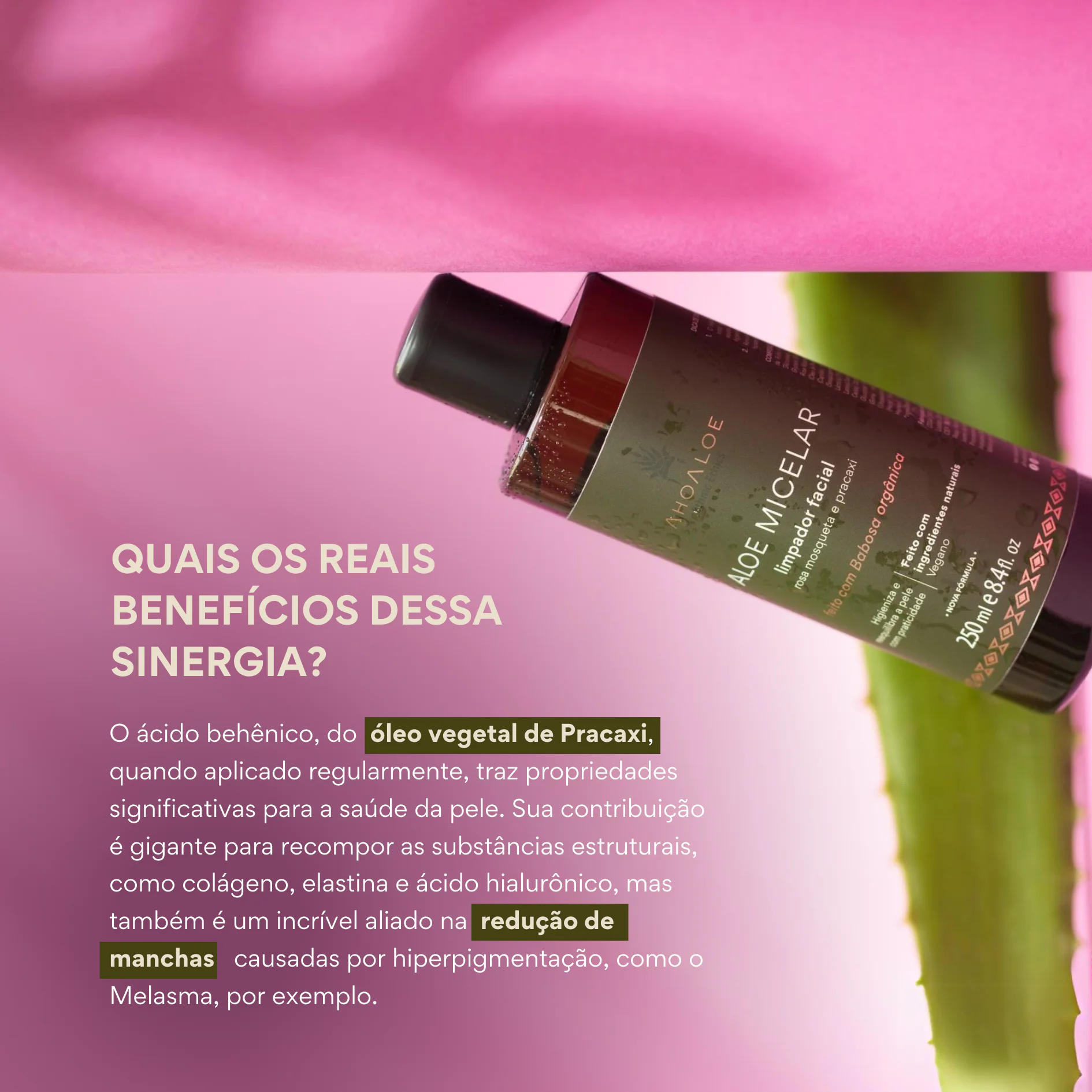 Limpador Facial de Aloe Vera Água Micelar - 250ml - Rosa Mosqueta e Pracaxi - Imagem 4