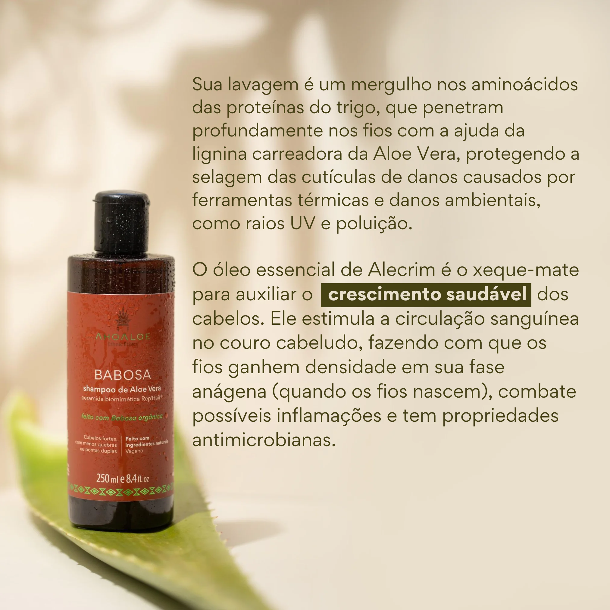 4 Shampoo de Aloe Vera BABOSA - Ceramida Biomimética - 250ml - Imagem 3