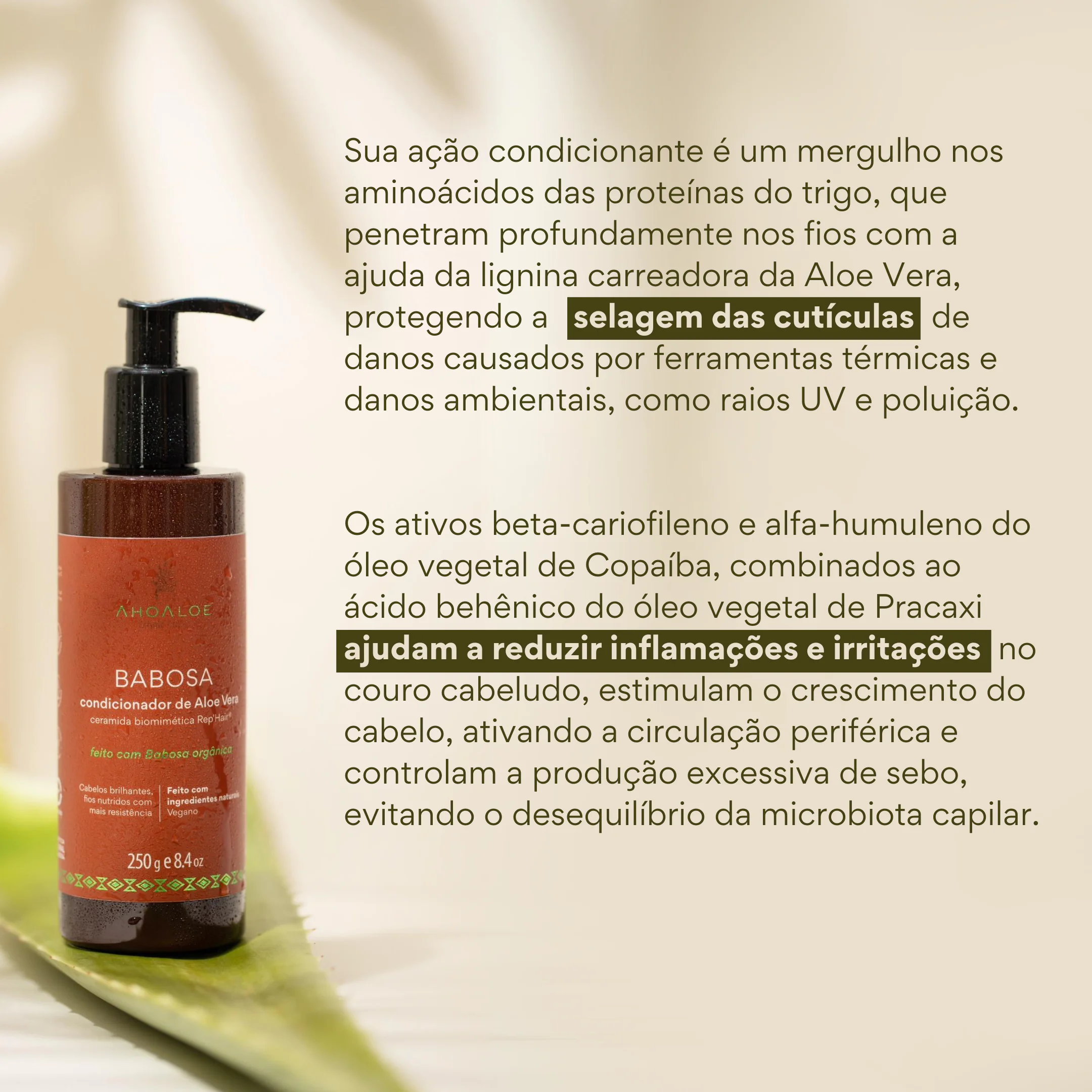 Condicionador de Aloe Vera BABOSA - Ceramida Biomimética - 250ml - Imagem 3