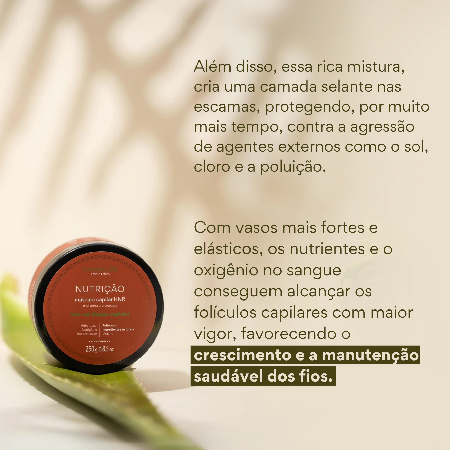 Máscara Capilar HNR Condicionante NUTRIÇÃO - Murumuru e Pracaxi - 250g - Imagem 3