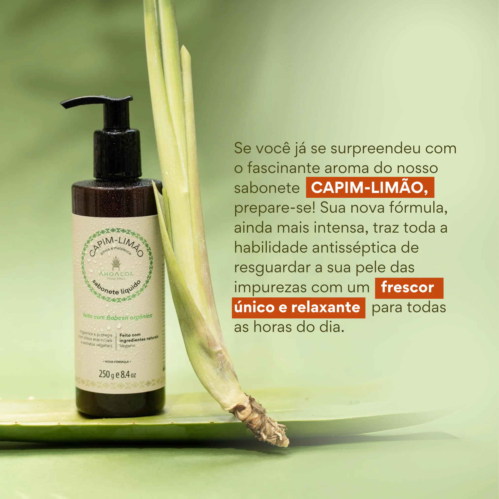 2 Sabonete Líquido de Aloe Vera CAPIM-LIMÃO - 250g - Arnica e Melaleuca - Imagem 2