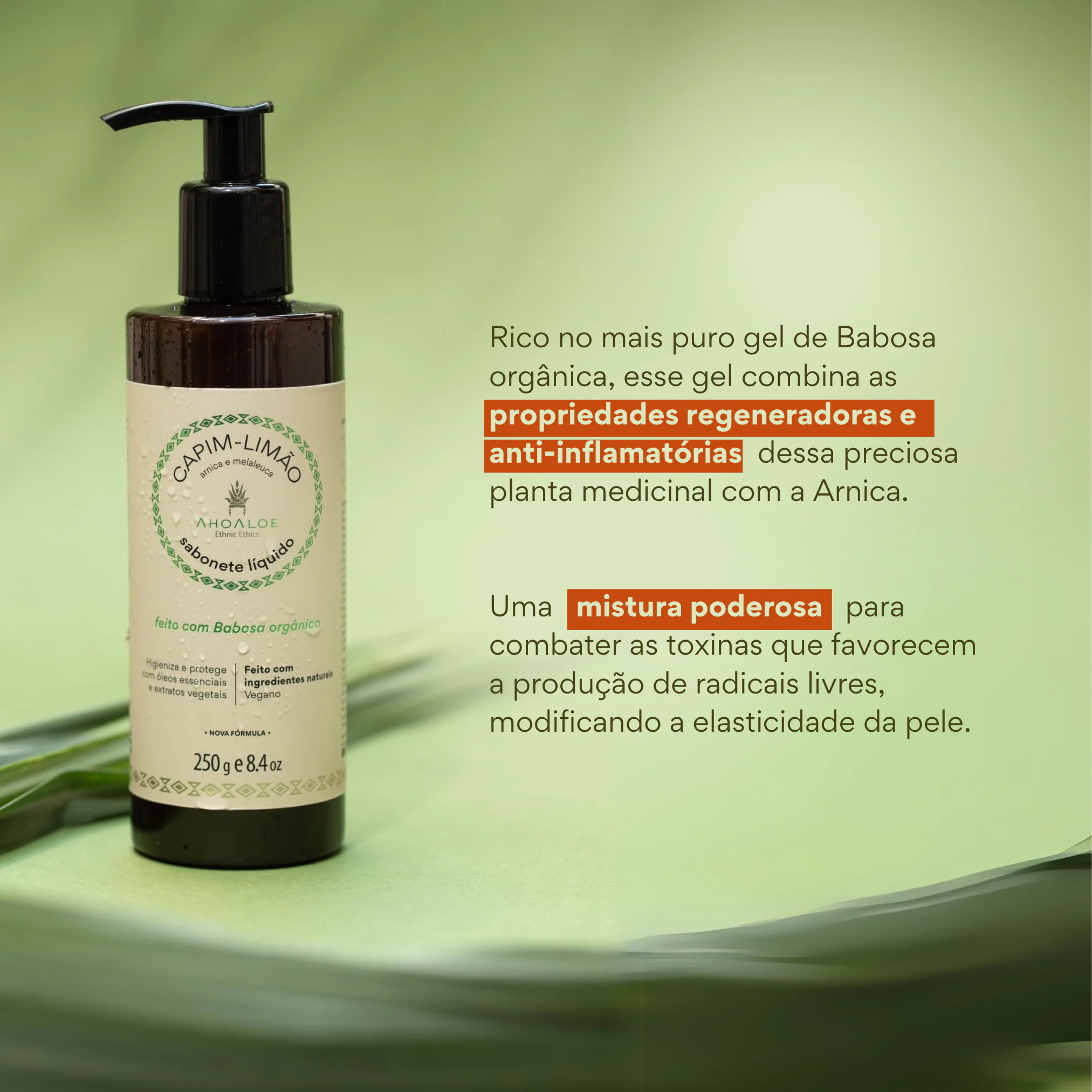 3 Sabonete Líquido de Aloe Vera CAPIM-LIMÃO - 250g - Arnica e Melaleuca - Imagem 3