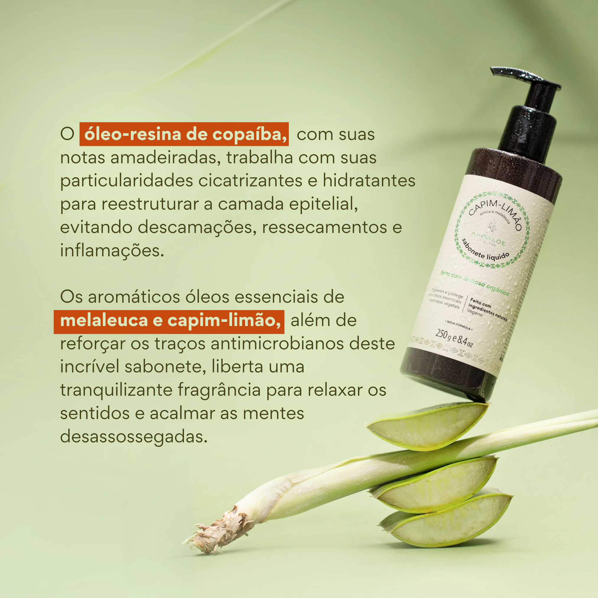 4 Sabonete Líquido de Aloe Vera CAPIM-LIMÃO - 250g - Arnica e Melaleuca - Imagem 4