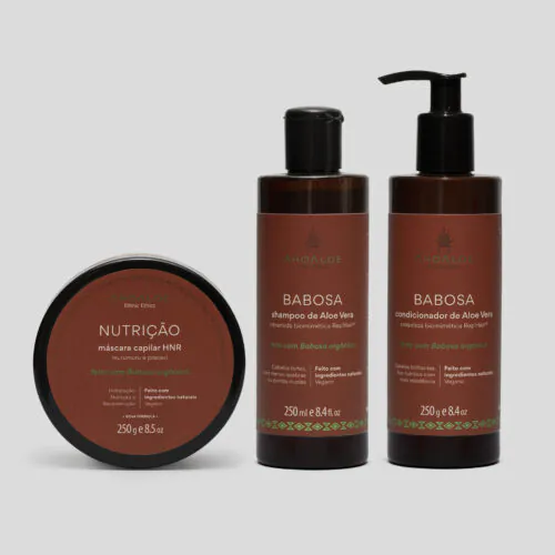 Kit Shampoo, condicionador BABOSA e máscara HNR NUTRIÇÃO - Ceramida Biomimética - 2x 250ml e 1x 250g