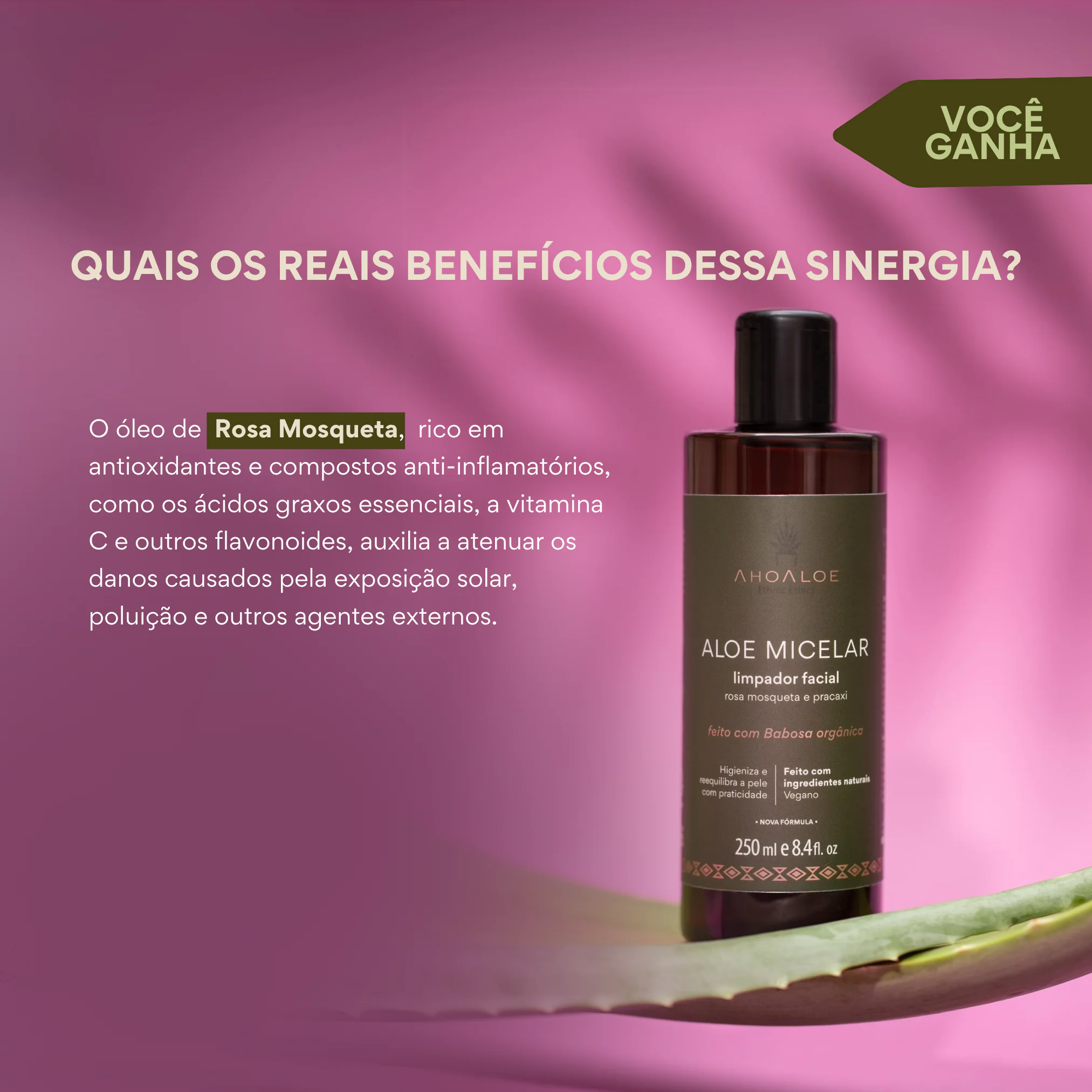 TRIO RENOVAÇÃO CELULAR - Imagem 4