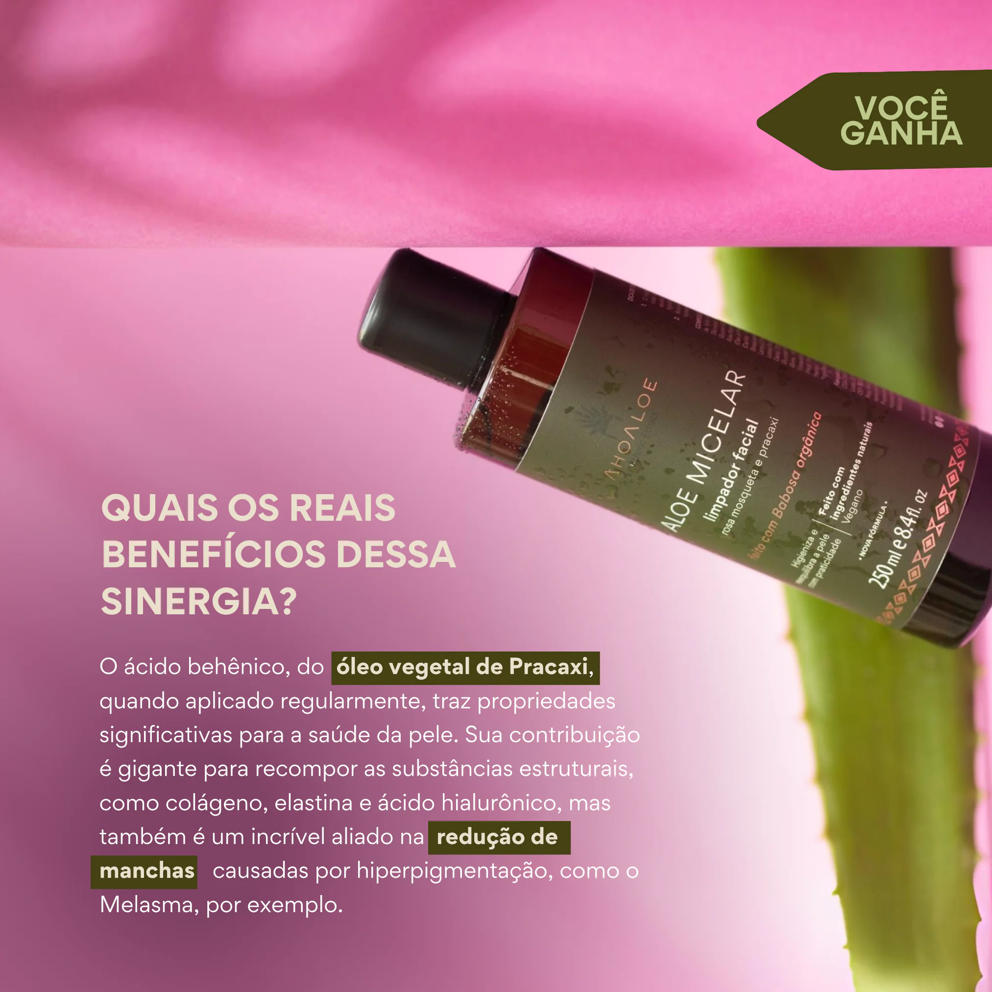 TRIO RENOVAÇÃO CELULAR - Imagem 5